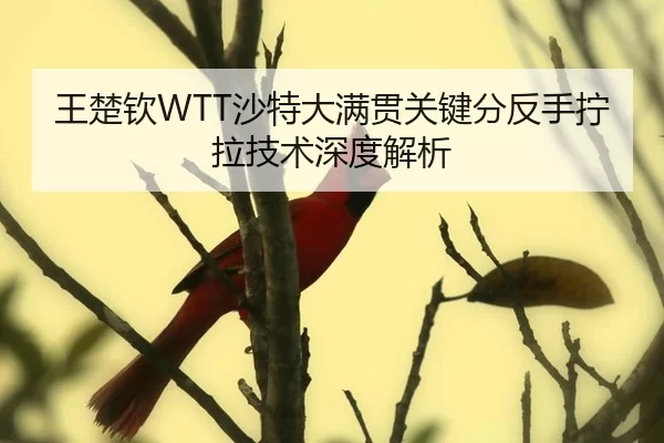 wang-chu-qin-sha-te-da-man-guan-guan-jian-fen-fan-shou-ning-la-ji-shu-shen-du-jie-xi-2-617.jpg
